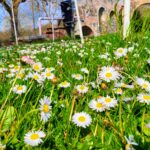 Arbeitseinsatz am 05.04.2025
