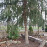 Arbeitseinsatz 17.01.2026