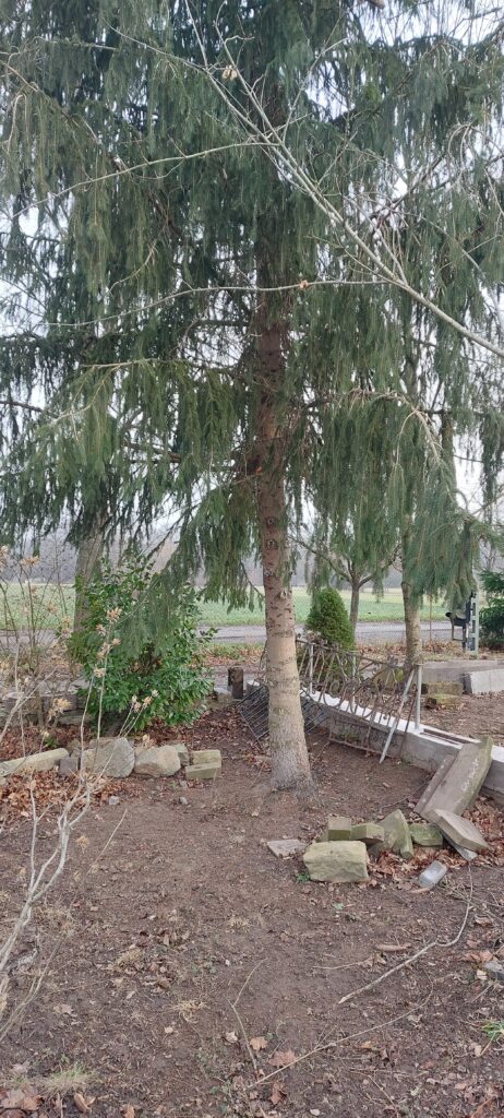 Arbeitseinsatz 17.01.2026