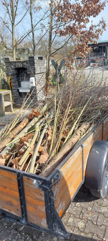 Arbeitseinsatz am 28.02.26