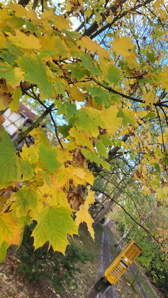 Arbeitseinsatz 24.10.2026
